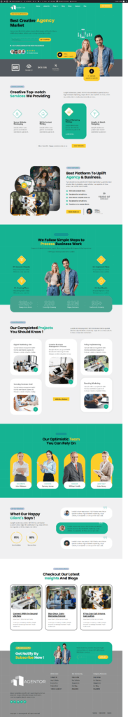 WordPress website design project by Raja Saeed